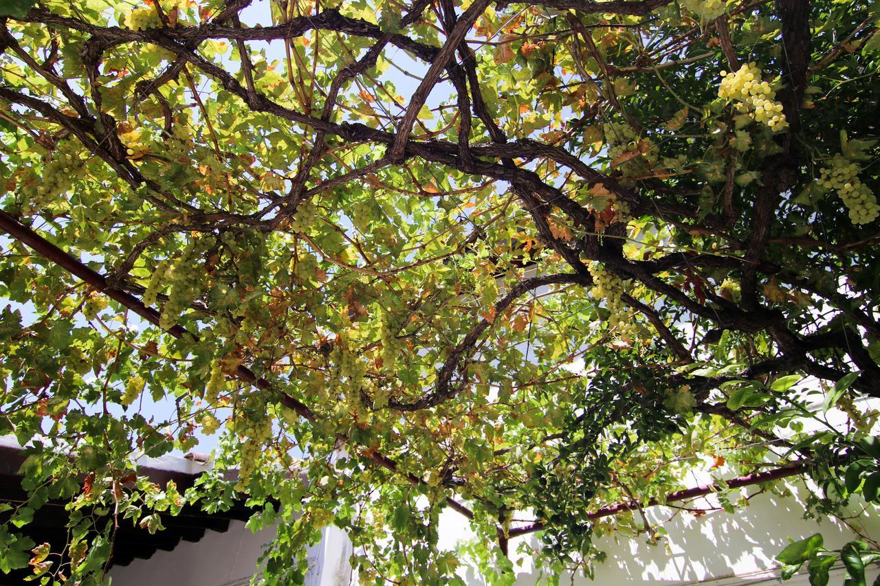 Gul Hanim House Boutique Hotel Nicosia Luaran gambar